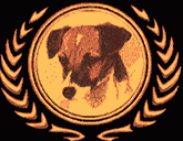 Award von dogaholic.de