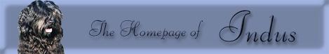 Indus Homepage