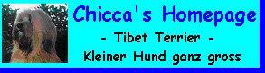 Chicca's Homepage