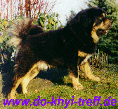 Do-Khyi-Treff.de
