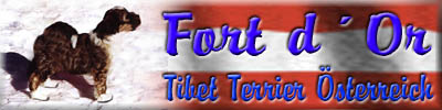 Tibet Terrier Zucht Fort d'Or
