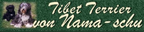 Tibet-Terrier-Zucht ' Nama-schu '