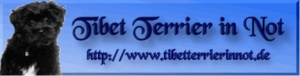 Hilfe für Tibet Terrier in Not