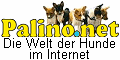 umfangreiche Linksammlung zum Thema Hund