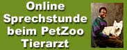 Online-Sprechstunde