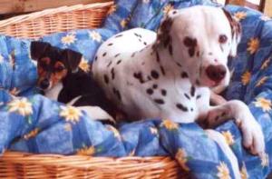 Monty mit seiner besten Freundin Emma