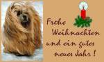 Anklicken f�r Normalgr��e