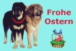 Anklicken f�r Normalgr��e