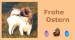 Anklicken f�r Normalgr��e