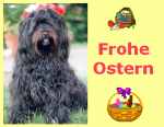 Anklicken f�r Normalgr��e