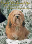 schnee4.jpg (30246 Byte)