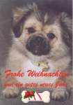 Anklicken f�r Normalgr��e
