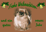 Anklicken f�r Normalgr��e