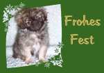Anklicken f�r Normalgr��e