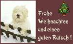 Anklicken f�r Normalgr��e