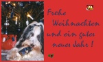Anklicken f�r Normalgr��e