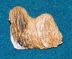 Lhasa Apso Anstecker