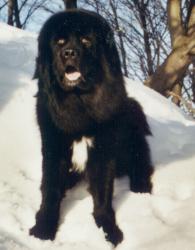 En'tschig Taschi von Wencheng