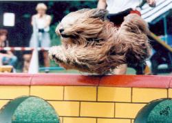 Kallemann beim Sprung ber die Mauer