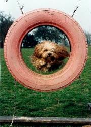 Kallemann and the big tire